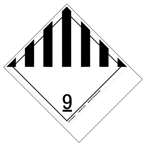 Class-9-blank