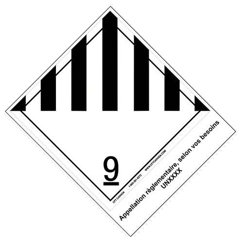 Class-9-francais