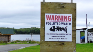 Contamination au mercure à Grassy Narrows : l’Ontario s’engage à nettoyer